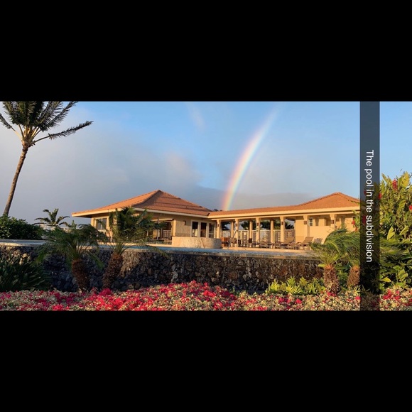 Meet your Posher, Bella - Picture 1 of 1